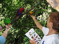 022 Birdworld Kuranda